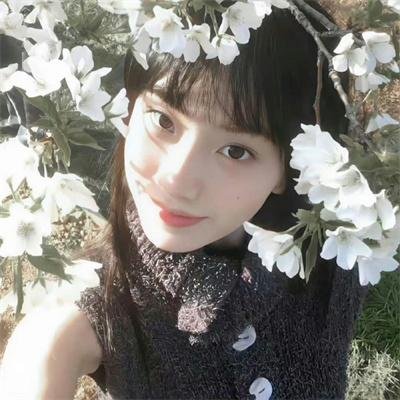 红发少女安妮