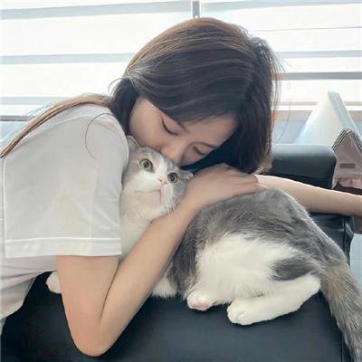 戴洛奇小镇第一季